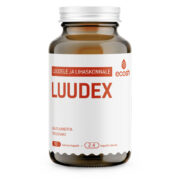 luudex