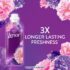 L_Flower_94_4