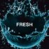 L_Fresh_495_3
